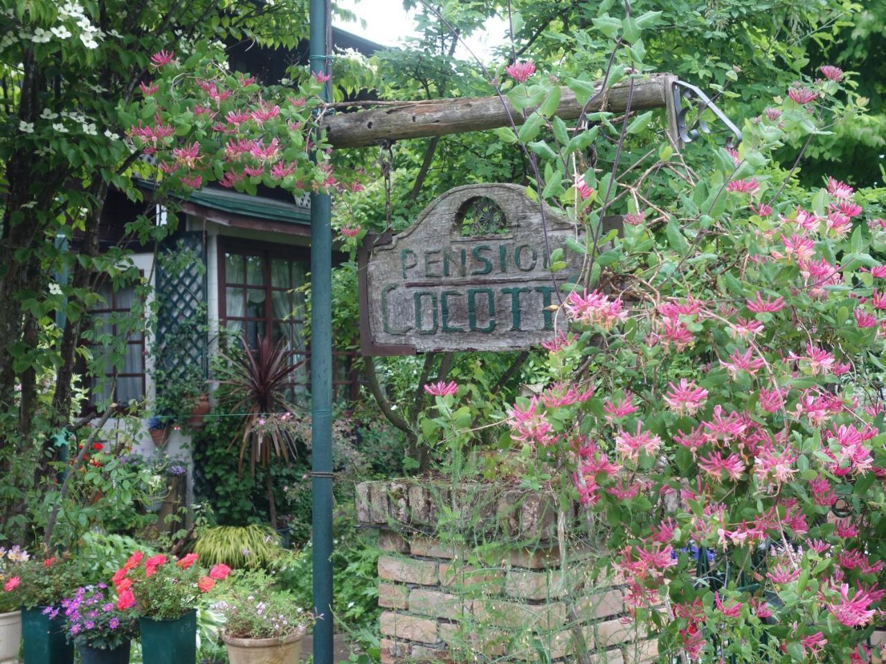 Pension Cocotte Такаяма Екстериор снимка